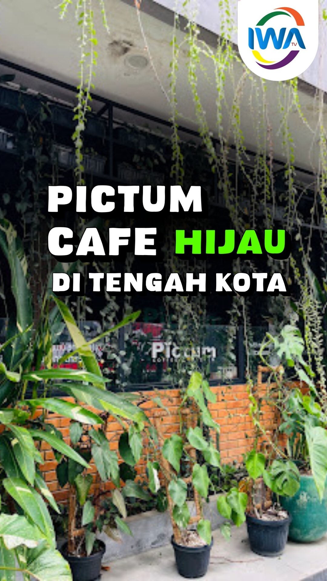 Serasa di Taman Tropis?! Intip Konsep Unik Pictum Coffee & Kitchen!